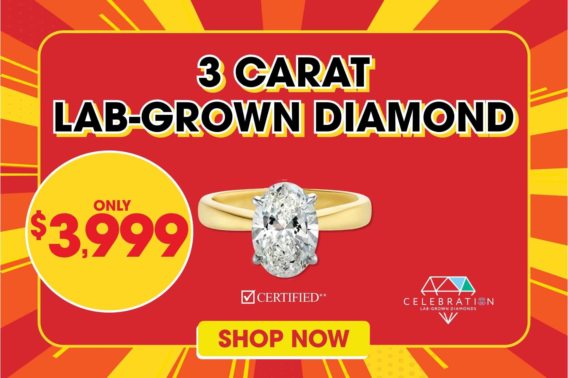 Sparkle for Every Special Moment